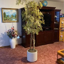 Silk Plant With White Stucco Pot 6 1/2 Foot 