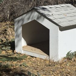 Dog House