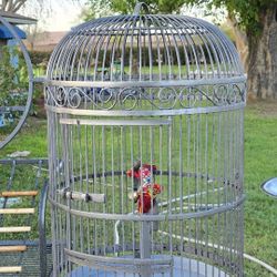 VINTAGE TWEETY BIRD CAGE-HEAVY DUTY