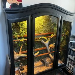 reptile enclosure