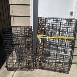 Two Dog Cages