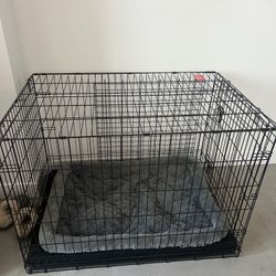 Large Single Door Dog Crate and Mats