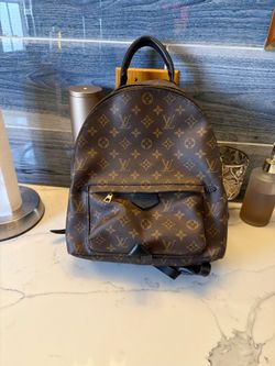 Louis Vuitton Monogram Palm Springs MM Backpack