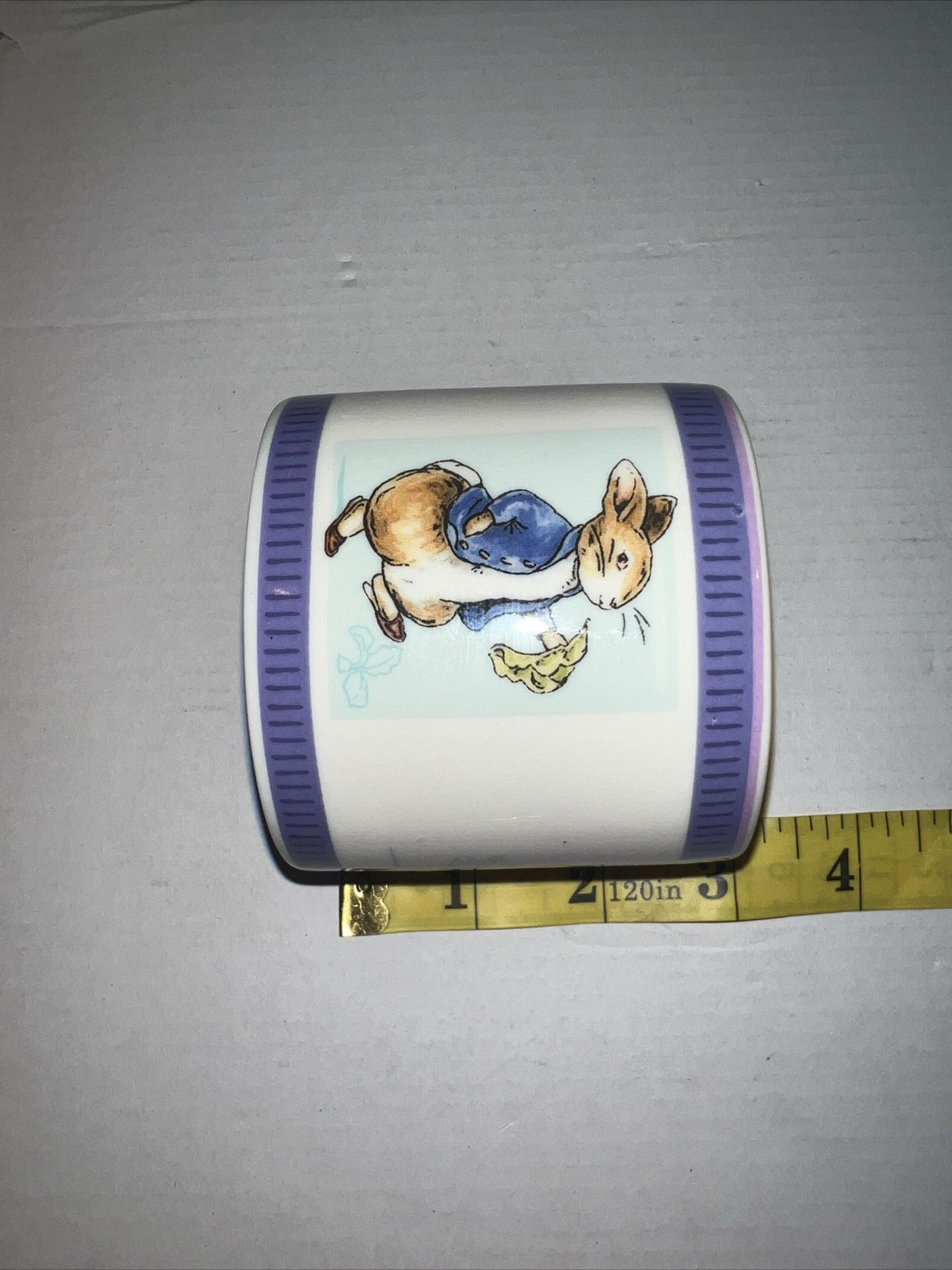 Peter Rabbit Porcelain Oval Shaped Piggy Bank Wedgwood Brand