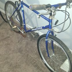 Bianchi Alante 1986 _87