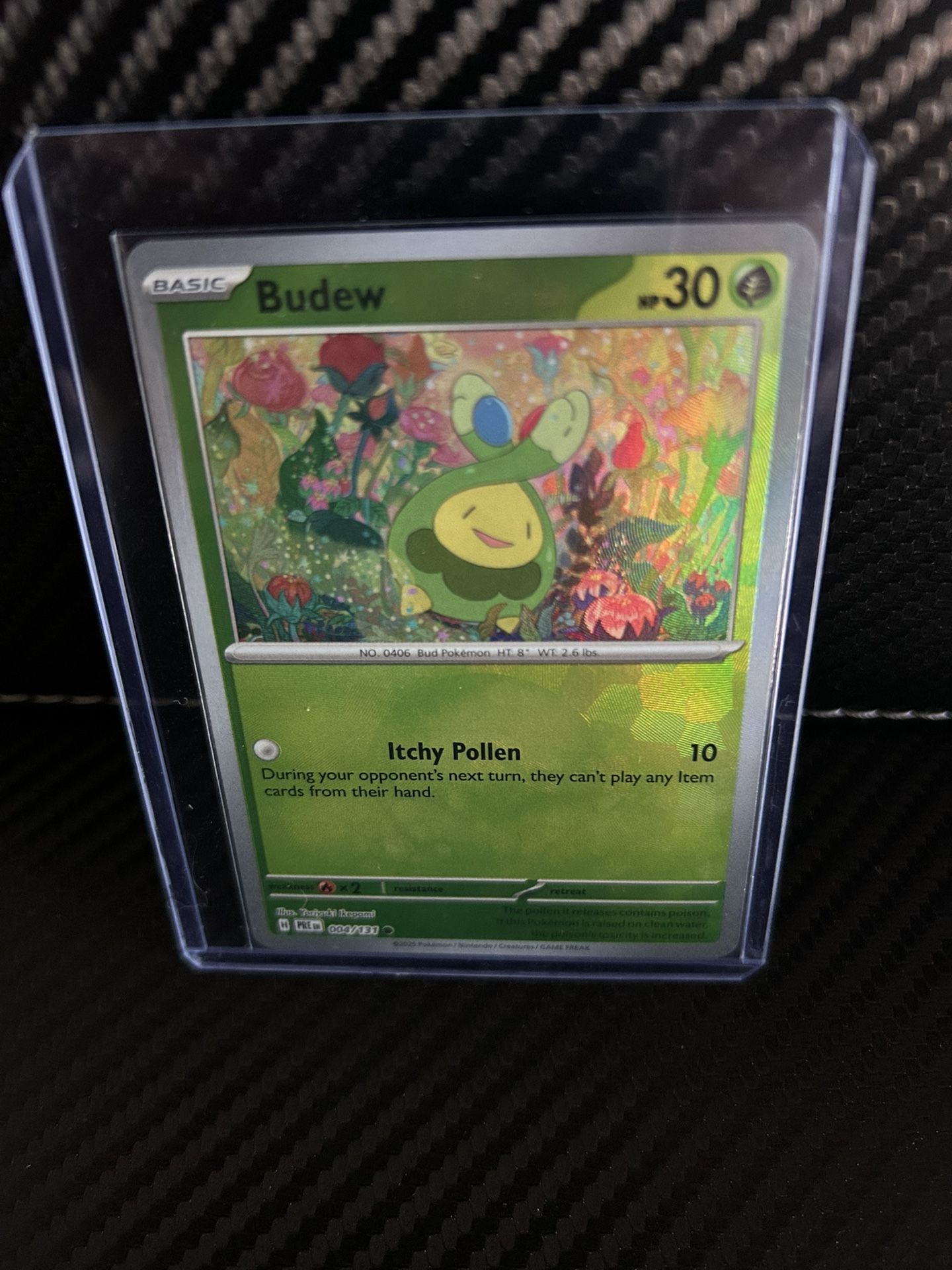 Budew (Master Ball Pattern) 004/131 Prismatic Evolutions Holo NM Fresh Pull