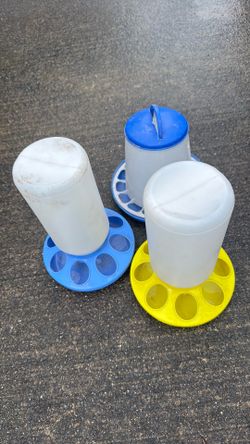 Chicken waterings