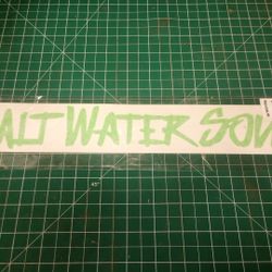 Salt Water Sole Vinyl Decal 