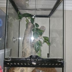 Reptile Tanks