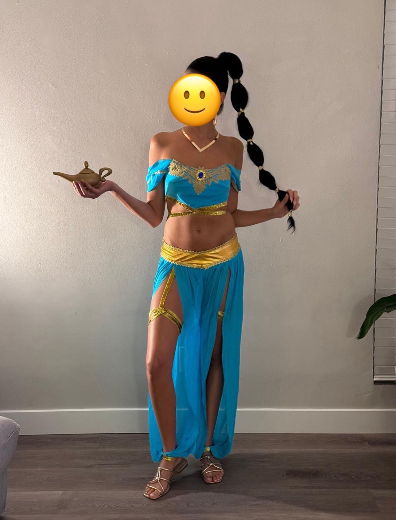Jasmine Costume