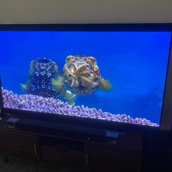 OLED TV LG C1 77"