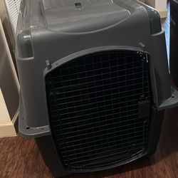 Dog Kennel 