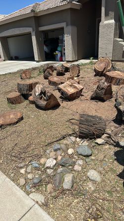Free fire wood mesquite