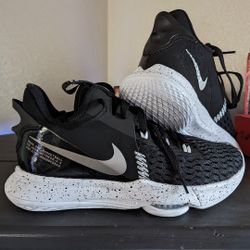 Nike Lebron Witness 5