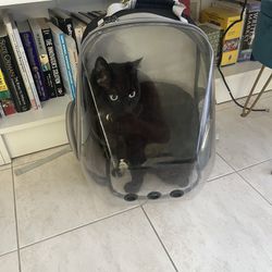 Clear Cat Backpack