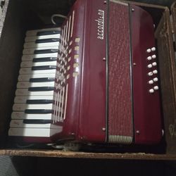 ACCORDION $219