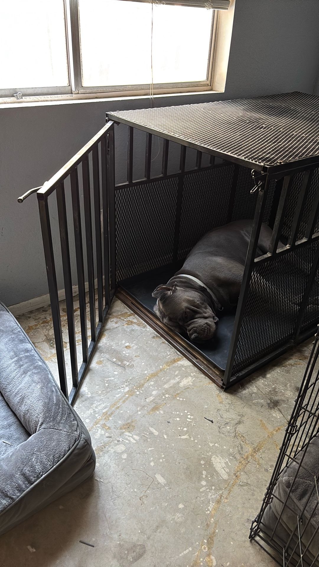 Iron dog kennel needs a little welding