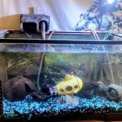 10 Gallon Aquarium 