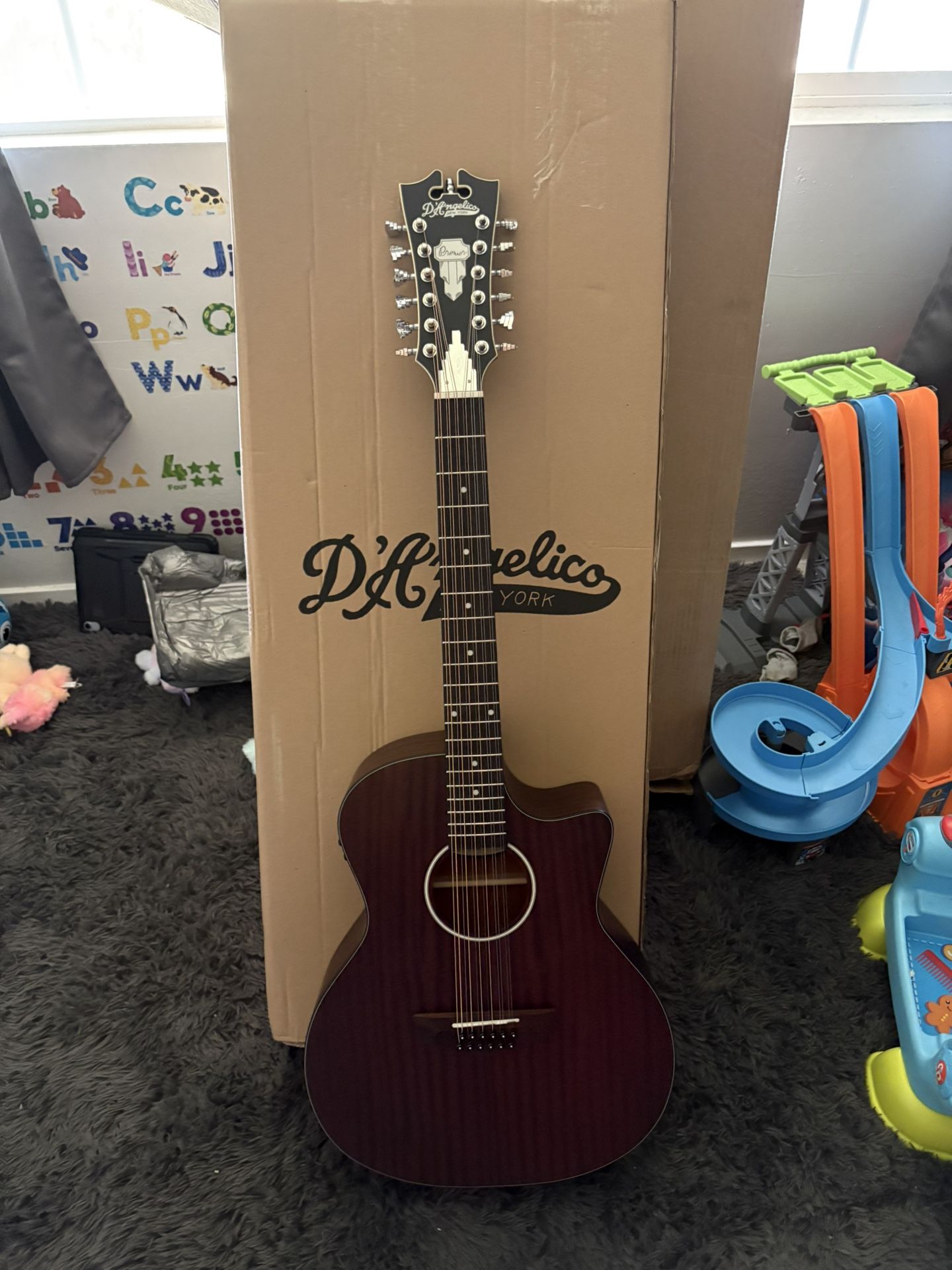Dangelico 12 String Acoustic Electric Guitar