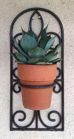 Elegant Dark Brown iron wall plant holder.