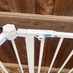 Carlson Pet Products Extra Wide Walk-Thru Dog Gate with Pet Door