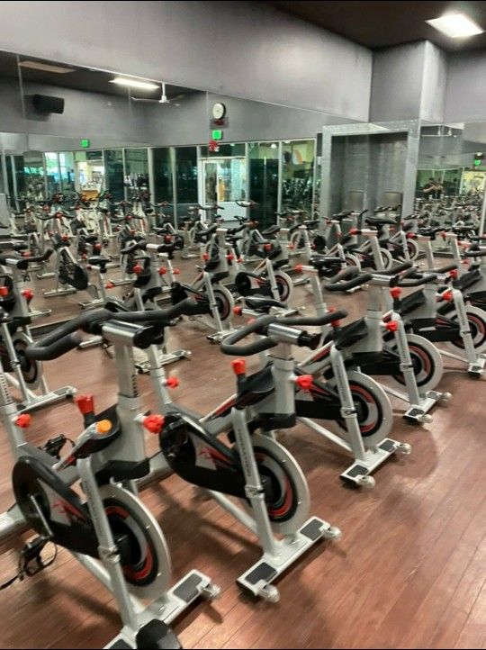 FreeMotion Stationary Bike Spin Bike Indoor Exercise Bicycle Cardio Workout 