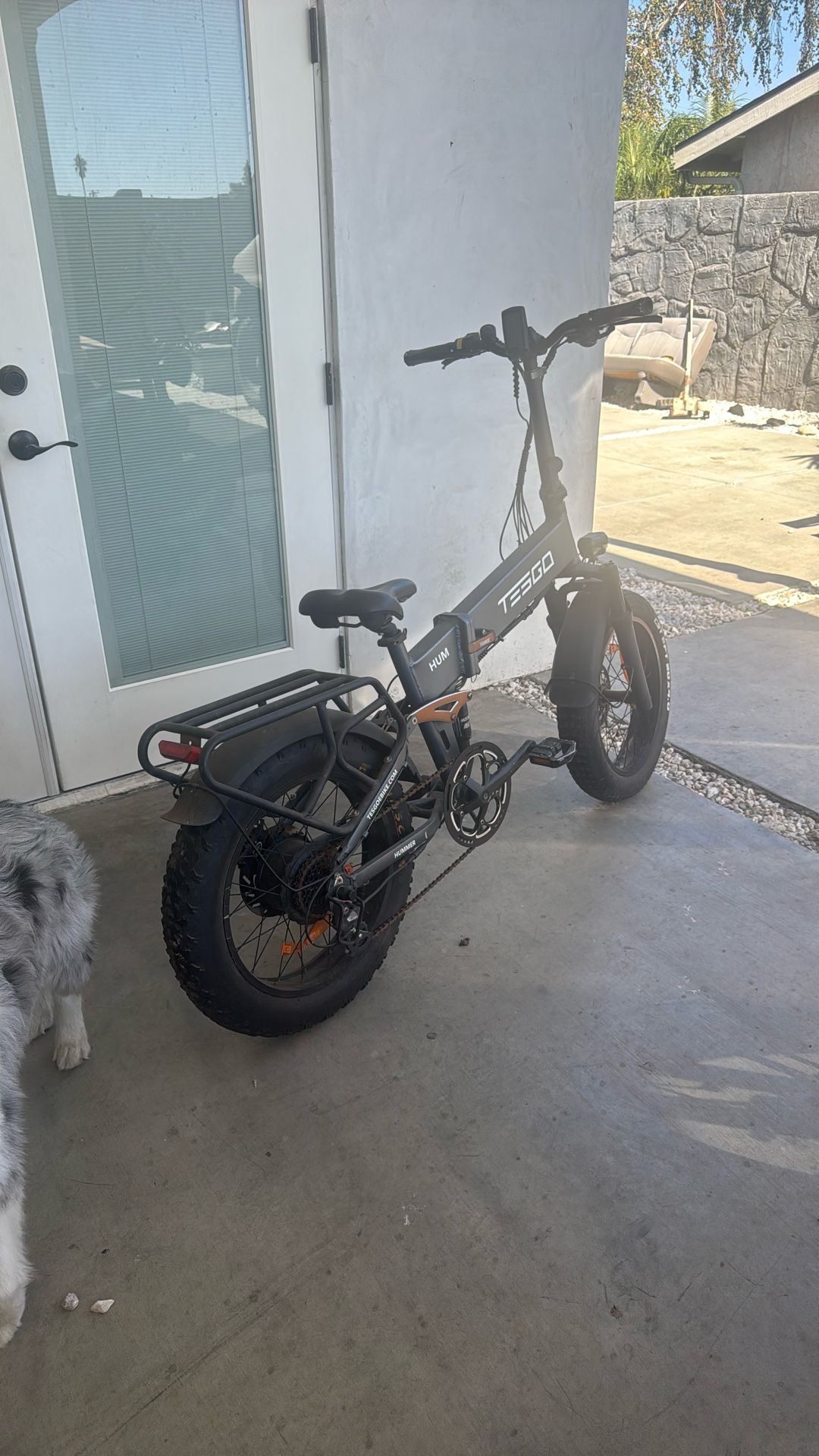 Community E Bike