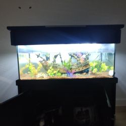 75 Gallon Fish Tank