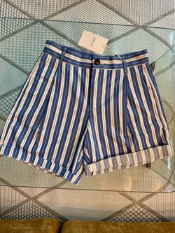 Everlane Shorts, Size 2