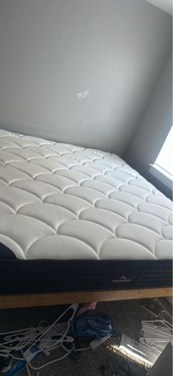 DreamCloud King Mattress & Bamboo Bedframe