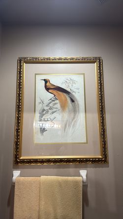 Large bird picture in frame