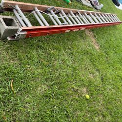 32 Foot Ladder 
