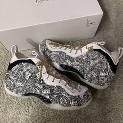 Victor Solomon Nike Foamposite 