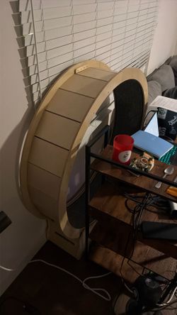 Cat running wheel