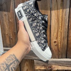 Dior B23 Low Top