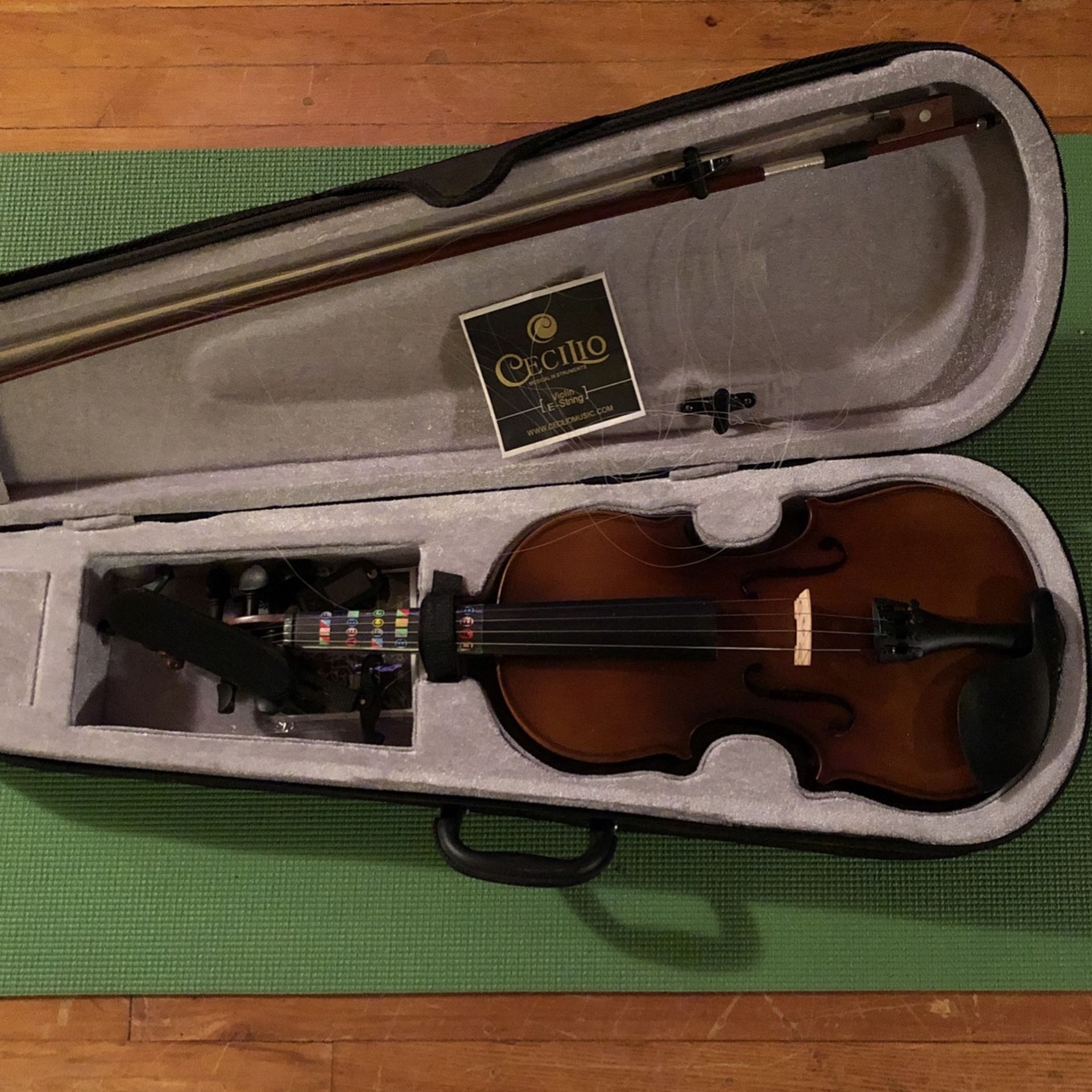 Violin For Learning With Case