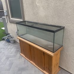 40 Gallon Fish Tank