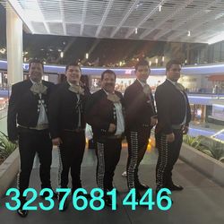 Vihuela violín mariachi 55
