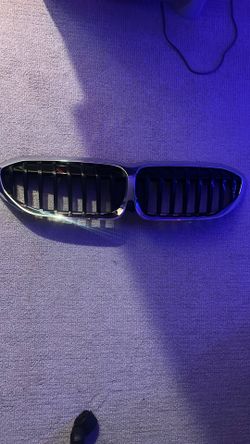 G20 BMW grill