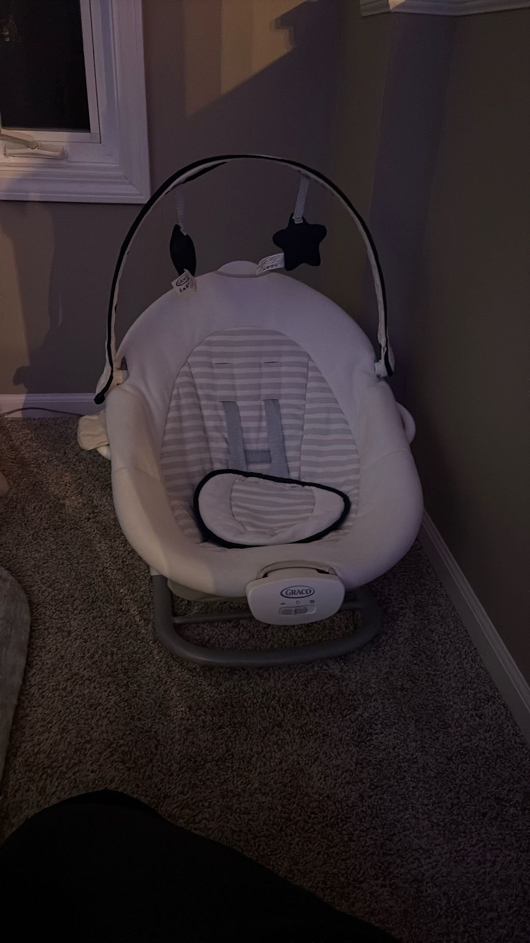 Graco Swing And Detachable Chair $80