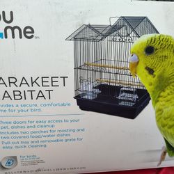 Bird Cage 