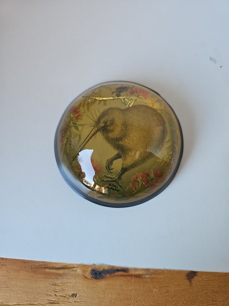 Kiwi Paperweight