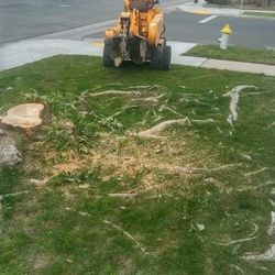 Stump Grinding 