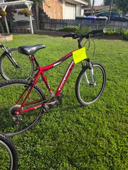 Mountain Bike