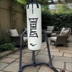 Everlast Punching Bag And Stand 