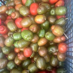 $5 A Dozen Red Hog Plums 