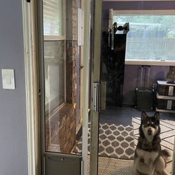PetSafe 1-Piece Sliding Glass Pet Door for Dogs & Cats