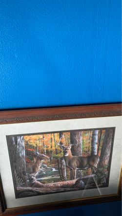 Selling this picture of deer in forest home interior brand with frame