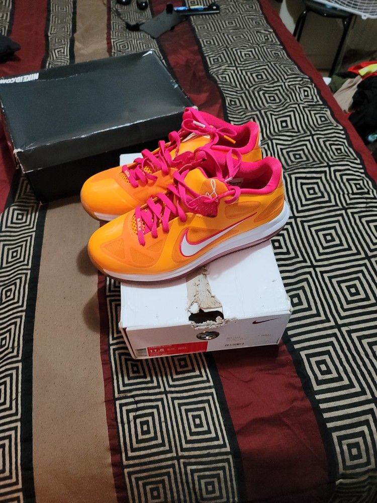 Nike Lebron 9 Low Floridians