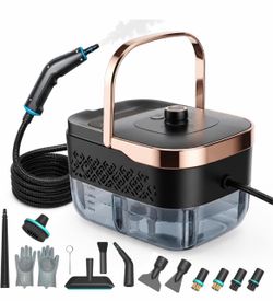 Steam Cleaner, Handheld Steam Cleaner for Home 15s Heat-Up 1250 ML Tank, 3 Level Adjustable, Portable Steamer for Cleaning, Grease, bathrooms,Grout, T